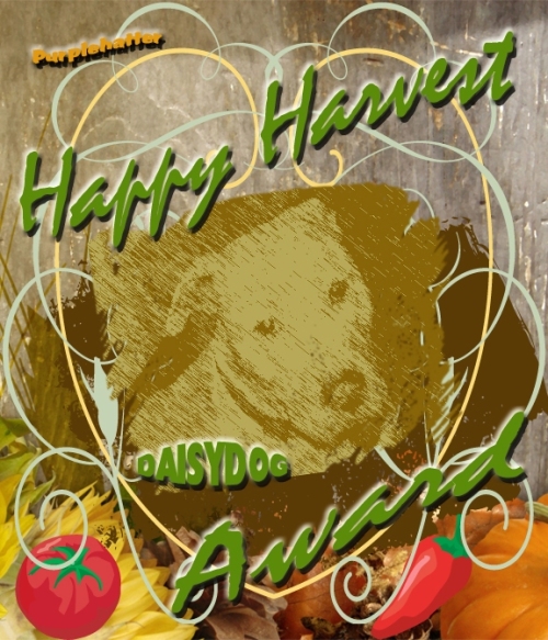 happy-harvest-daisy-dog